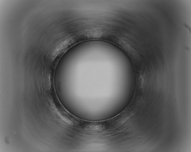 X0000103440638200809191726