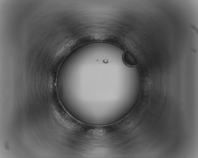 X0000103440639200809191726