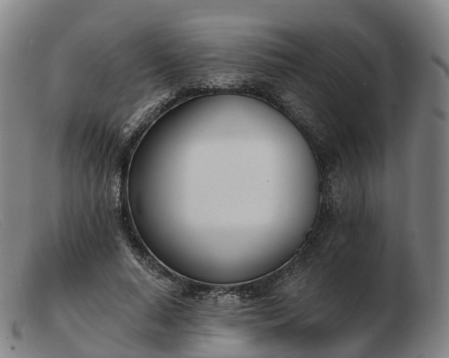 X0000103440640200809191726