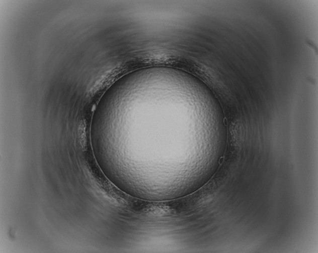X0000103440642200809191726