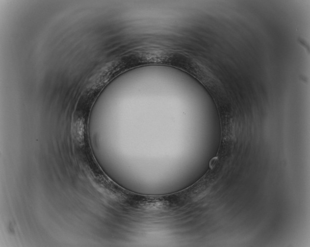X0000103440646200809191726