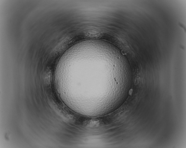 X0000103440647200809191726