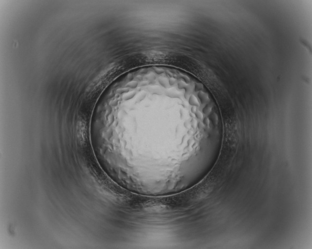X0000103440648200809191726