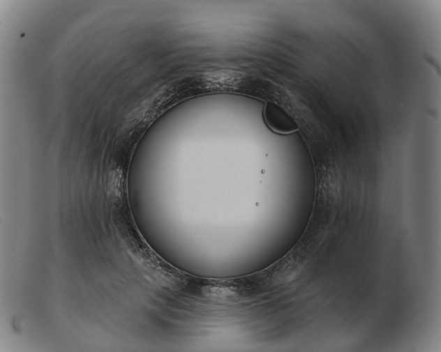 X0000103440649200809191726