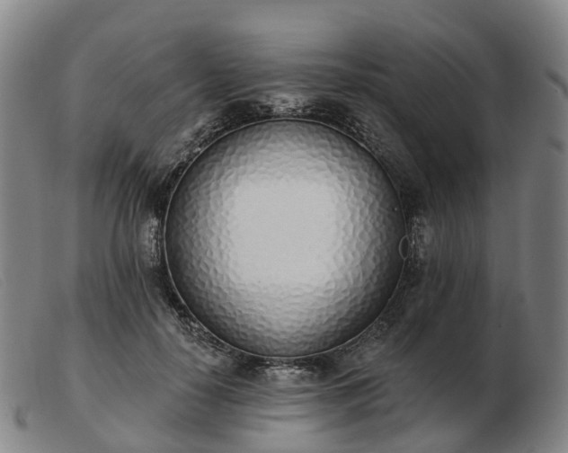 X0000103440650200809191726