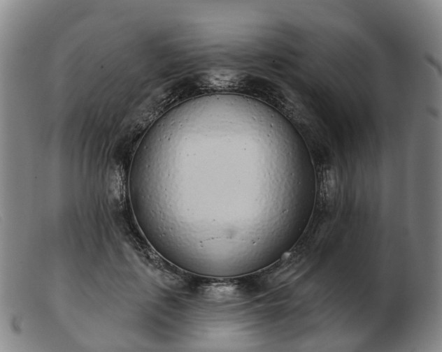 X0000103440651200809191726