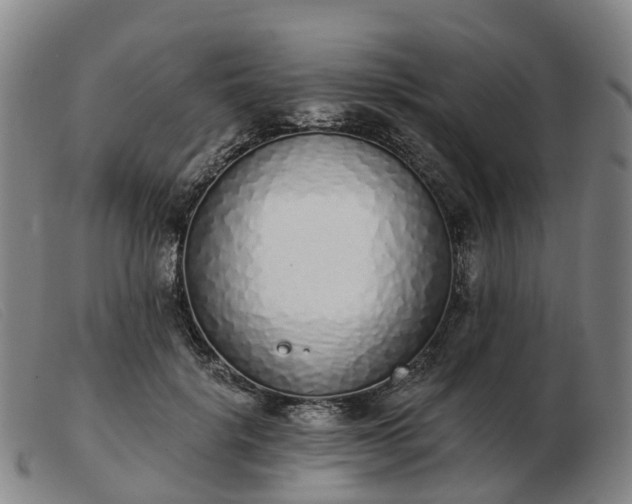 X0000103440652200809191726