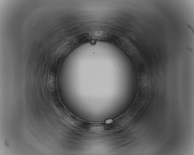 X0000103440653200809191726