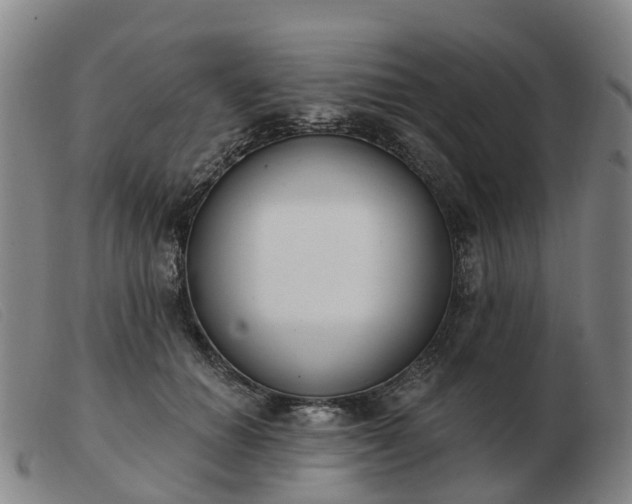 X0000103440654200809191726