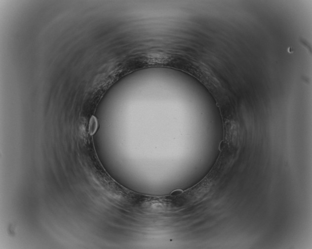 X0000103440655200809191726