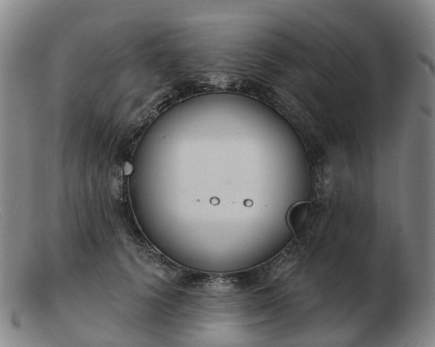 X0000103440656200809191726