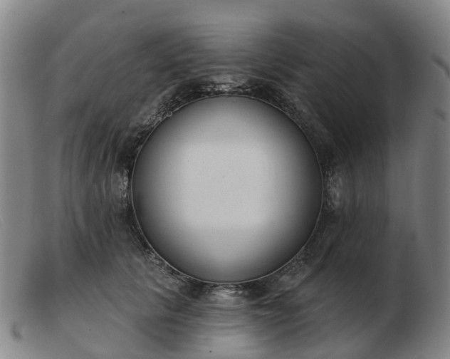 X0000103440657200809191726