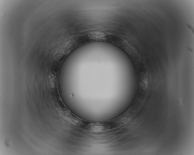 X0000103440658200809191726