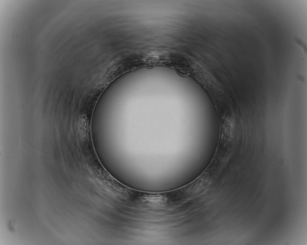 X0000103440659200809191726
