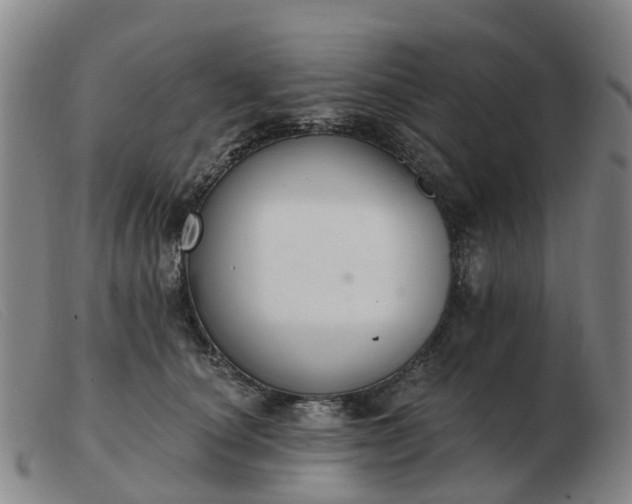 X0000103440660200809191726