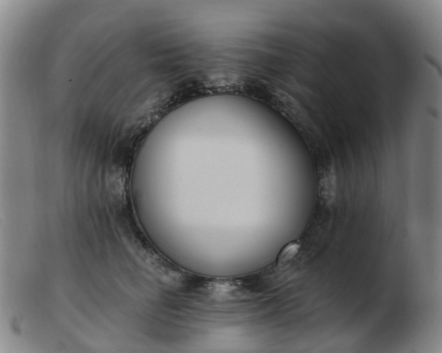 X0000103440662200809191726