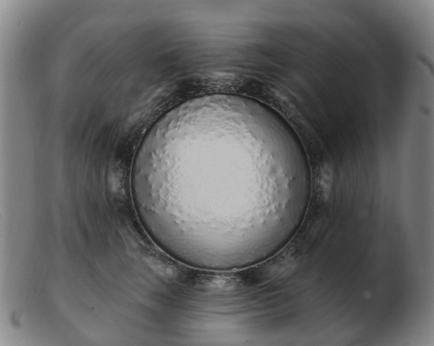 X0000103440663200809191726