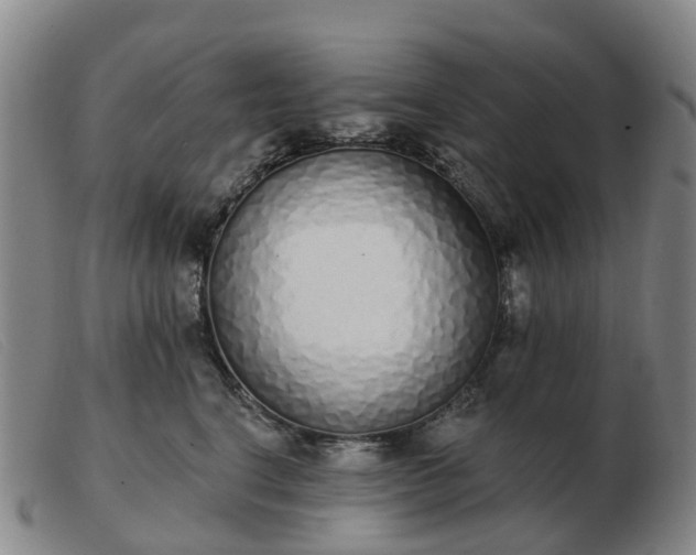 X0000103440664200809191726