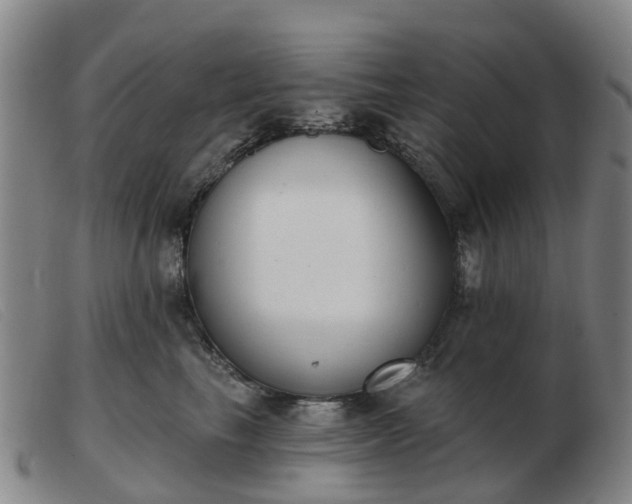 X0000103440665200809191726