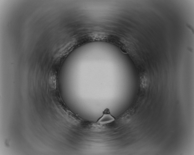 X0000103440666200809191726