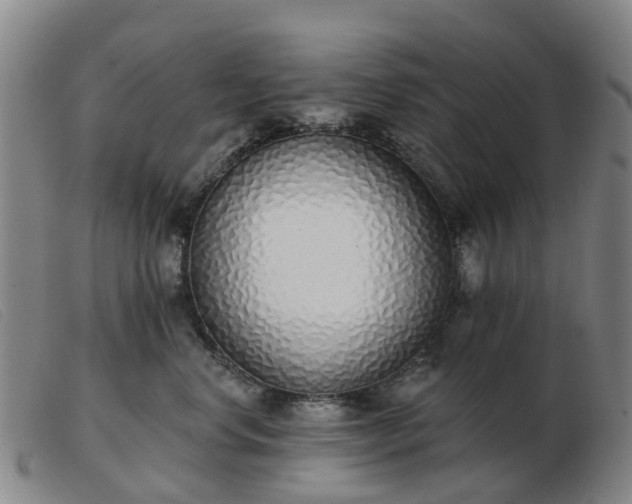 X0000103440668200809191726