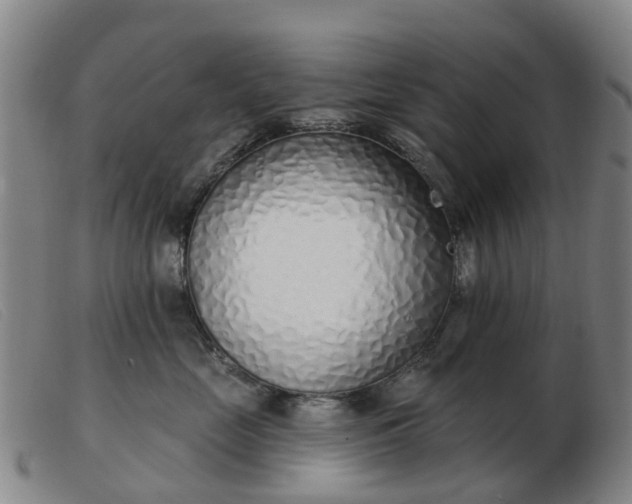 X0000103440669200809191726