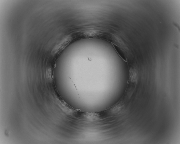 X0000103440670200809191726