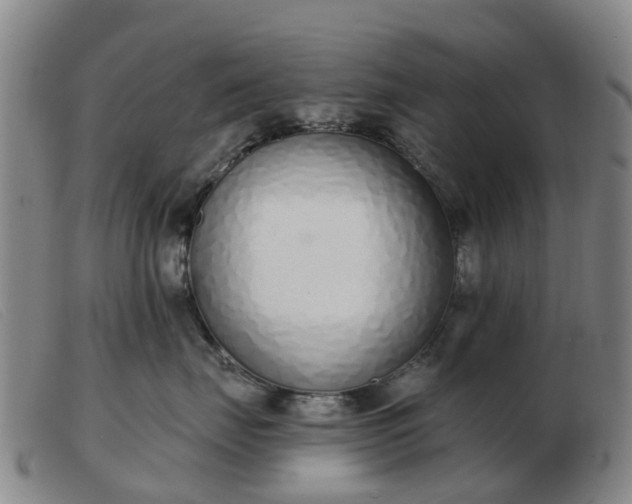 X0000103440671200809191726
