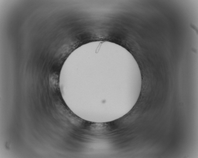 X0000103440672200809191726