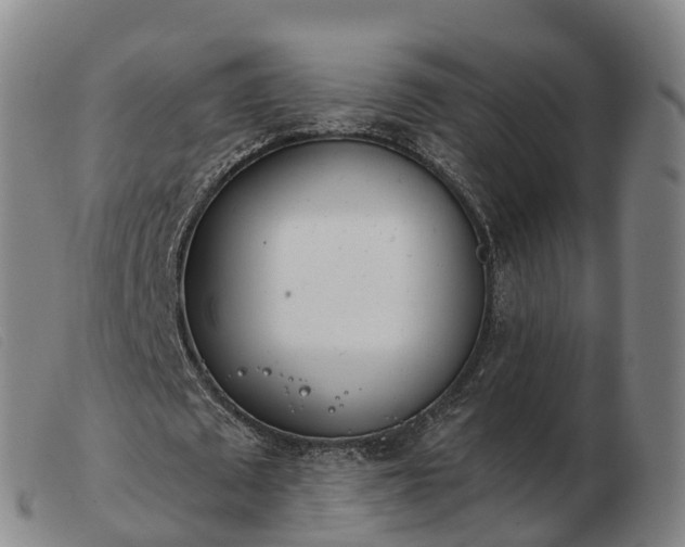 X0000103440673200809191725