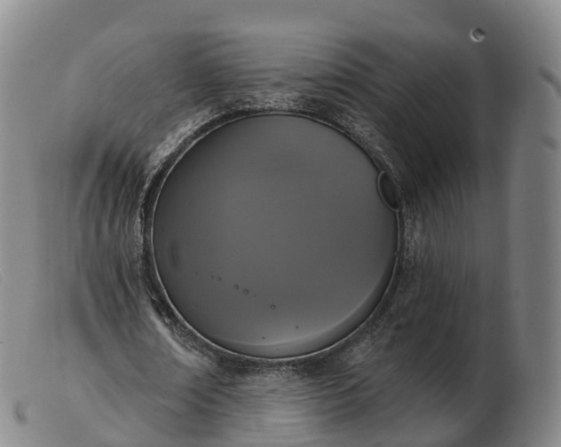 X0000103440674200809191725