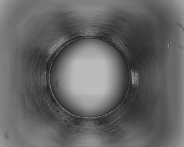 X0000103440675200809191725