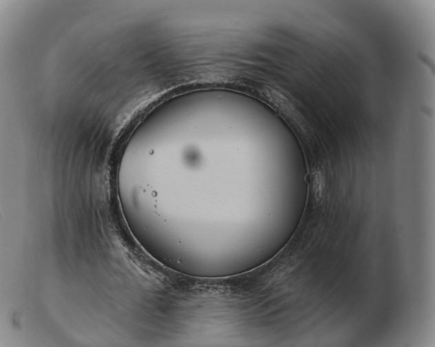 X0000103440676200809191725