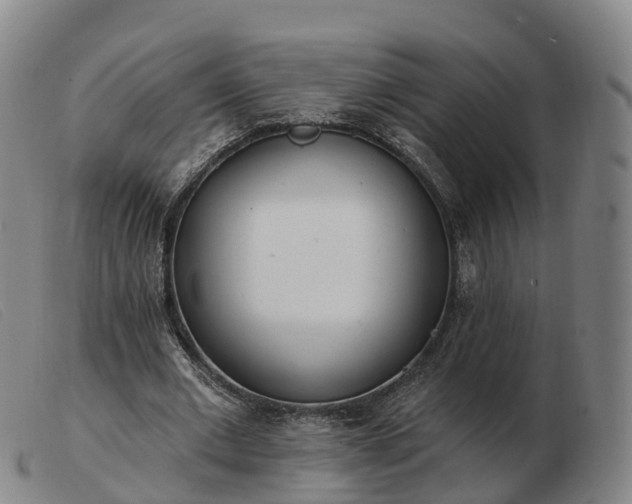 X0000103440677200809191725
