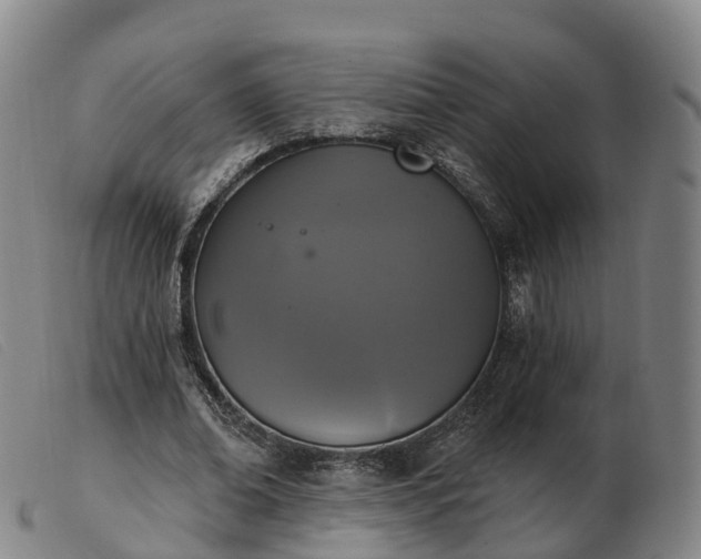 X0000103440678200809191725
