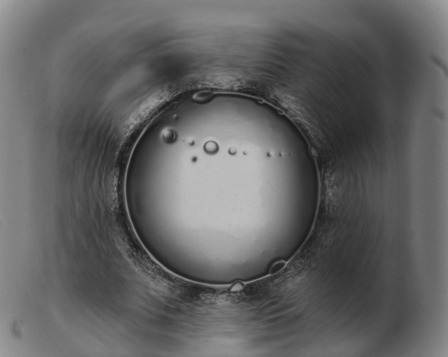 X0000103440679200809191725
