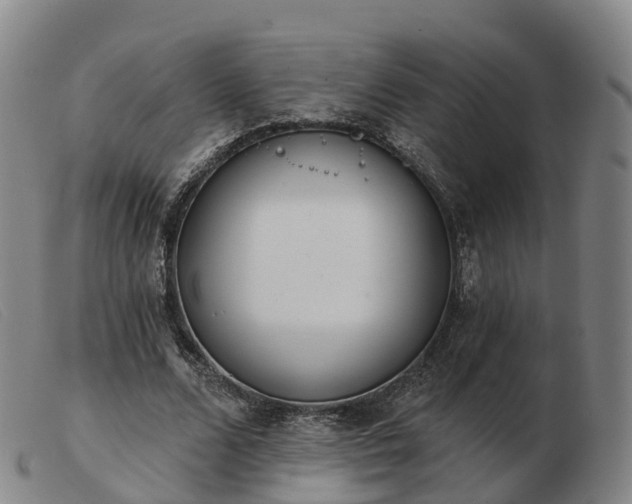 X0000103440680200809191725