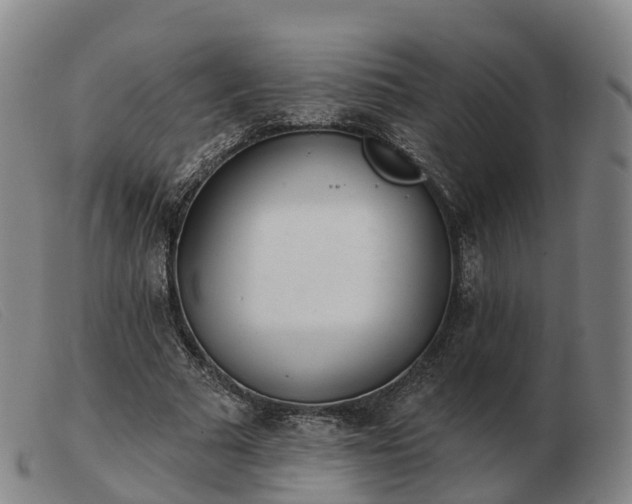 X0000103440681200809191725