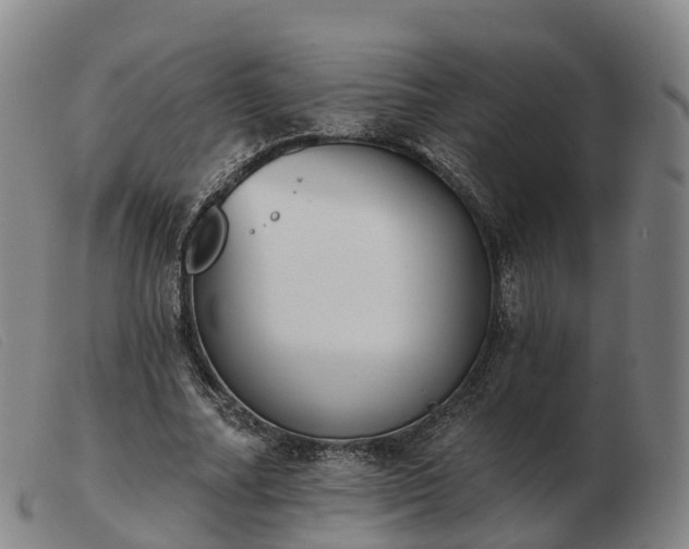 X0000103440682200809191725