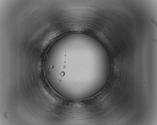 X0000103440683200809191725
