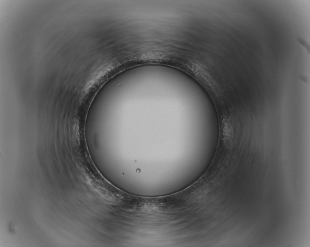 X0000103440684200809191725