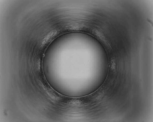 X0000103440685200809191725