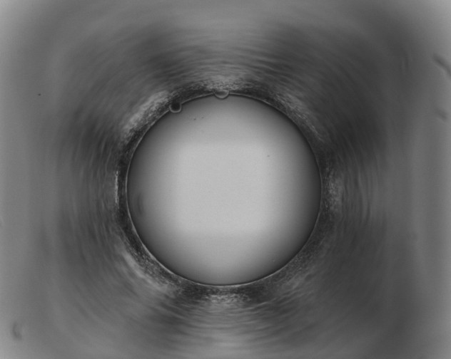 X0000103440686200809191725