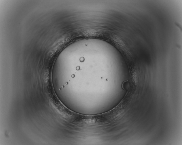X0000103440687200809191725