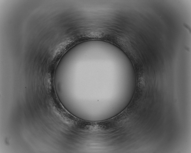 X0000103440688200809191725