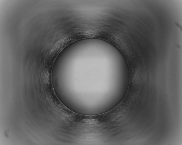 X0000103440689200809191725