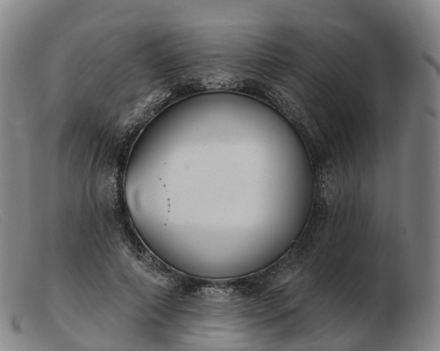 X0000103440690200809191725