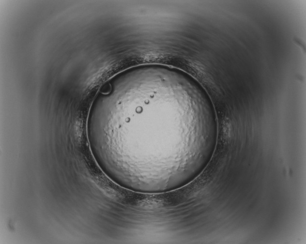 X0000103440691200809191725