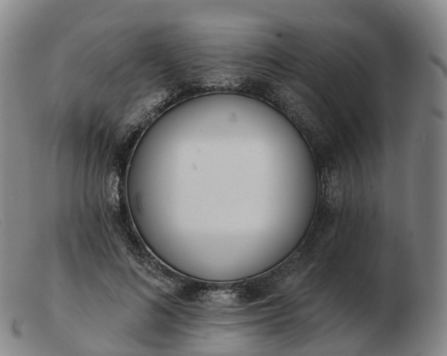 X0000103440692200809191725
