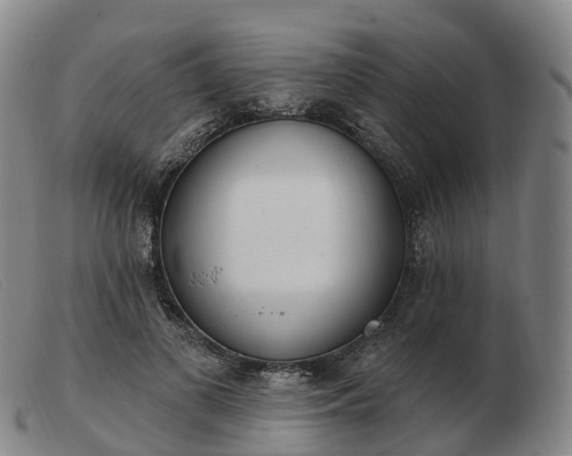 X0000103440693200809191725